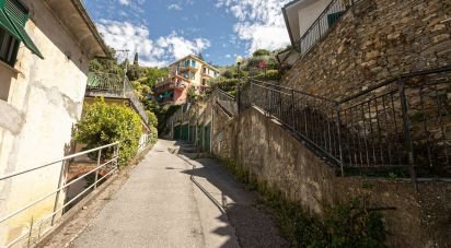 Two-room apartment of 30 sq m in Pieve Ligure (16030)