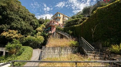 Two-room apartment of 30 sq m in Pieve Ligure (16030)