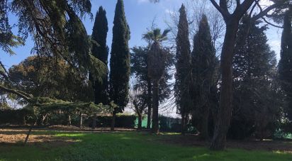 Proprietà terriera 99 locali di 12.685 m² in Colonnella (64010)