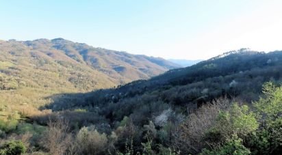 Casa indipendente 7 locali di 183 m² in Sesta Godano (19020)