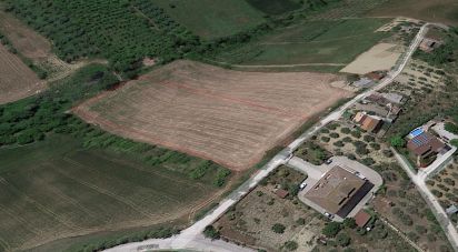 Agricultural land of 9,580 m² in Atri (64032)