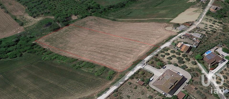 Agricultural land of 9,580 sq m in Atri (64032)