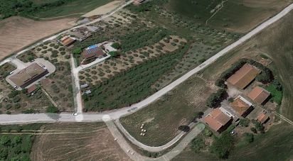 Agricultural land of 2,900 sq m in Atri (64032)