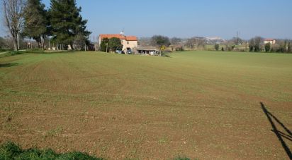 Casa indipendente 9 locali di 221 m² in Monsano (60030)