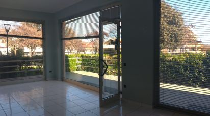 Negozio / locale commerciale di 60 m² in Pescara (65125)