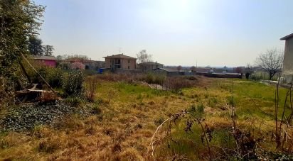 Costruzione di 800 m² in Suno (28019)