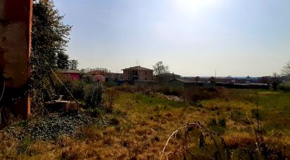 Costruzione di 800 m² in Suno (28019)