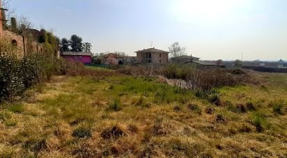 Costruzione di 800 m² in Suno (28019)