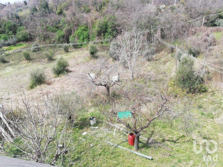 Terreno di 4.000 m² in Torricella Sicura (64010)