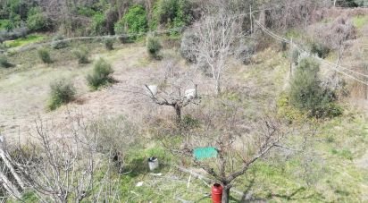 Terreno di 4.000 m² in Torricella Sicura (64010)