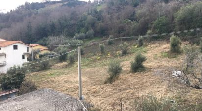 Terreno di 4.000 m² in Torricella Sicura (64010)