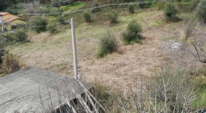 Terreno di 4.000 m² in Torricella Sicura (64010)