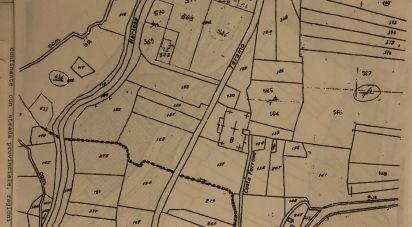 Terreno di 4.000 m² in Torricella Sicura (64010)