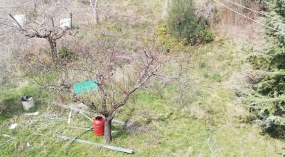 Terreno di 4.000 m² in Torricella Sicura (64010)