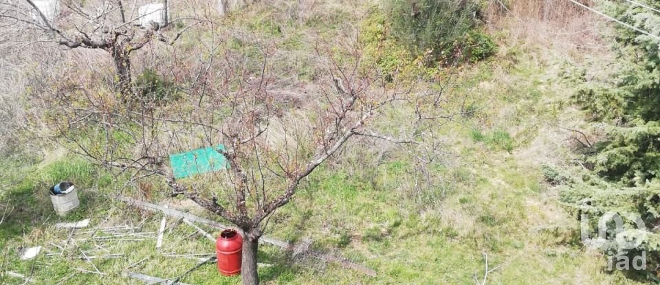 Terreno di 4.000 m² in Torricella Sicura (64010)