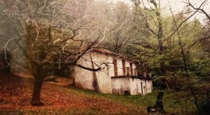 Casa indipendente / Villa 6 locali di 100 m² in Menaggio (22017)