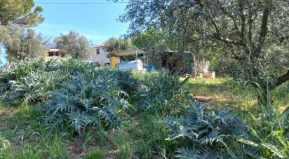 Casa indipendente / Villa 7 locali di 130 m² in Senigallia (60019)