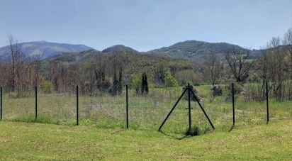 Rustico 0 locali di 240 m² in Urbania (61049)