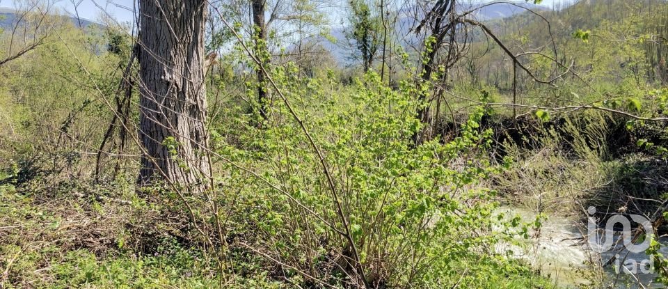 Rustico 0 locali di 240 m² in Urbania (61049)