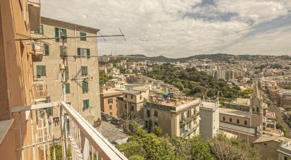 Apartment 7 rooms of 120 m² in Genova (16149)