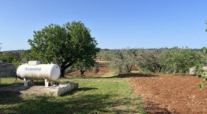 Rifugio 9 locali di 300 m² in Cisternino (72014)