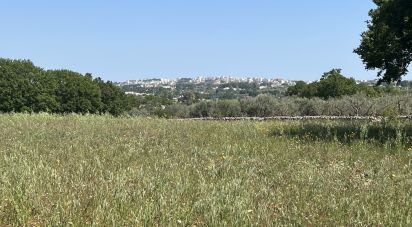 Agricultural land of 4,258 sq m in Ostuni (72017)