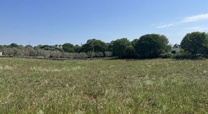 Terreno agricolo di 4.258 m² in Ostuni (72017)