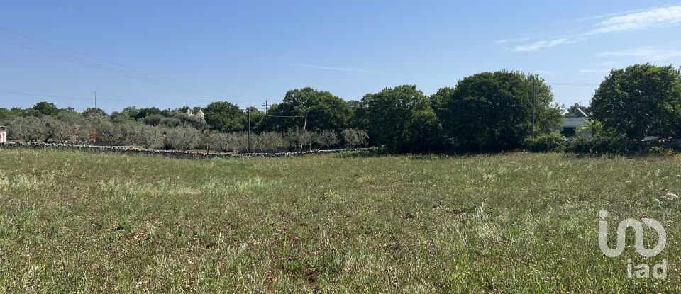 Agricultural land of 4,258 sq m in Ostuni (72017)