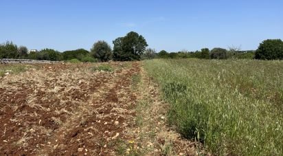 Agricultural land of 4,258 m² in Ostuni (72017)