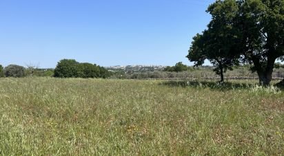 Terreno agricolo di 4.258 m² in Ostuni (72017)