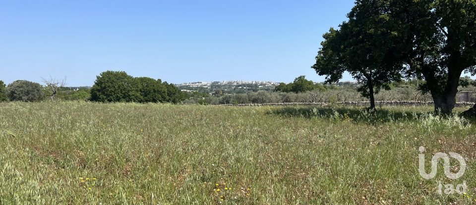 Agricultural land of 4,258 m² in Ostuni (72017)