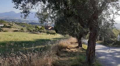 Terreno di 2.300 m² in Castorano (63081)