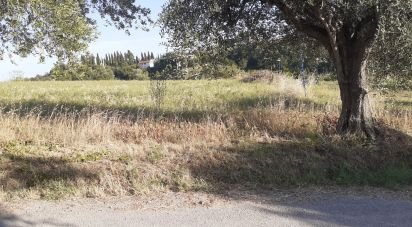 Terreno di 2.300 m² in Castorano (63081)