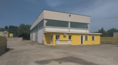 Warehouse of 800 m² in Cappelle sul Tavo (65010)