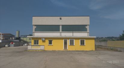 Warehouse of 800 m² in Cappelle sul Tavo (65010)