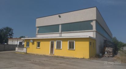 Warehouse of 800 m² in Cappelle sul Tavo (65010)