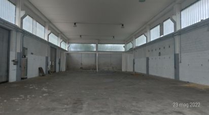 warehouse of 800 sq m in Cappelle sul Tavo (65010)
