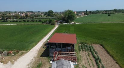 Casa indipendente / Villa 10 locali di 246 m² in Sant'Elpidio a Mare (63811)