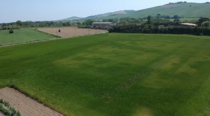 Casa indipendente / Villa 10 locali di 246 m² in Sant'Elpidio a Mare (63811)