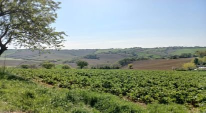 Casa indipendente / Villa 7 locali di 130 m² in Senigallia (60019)