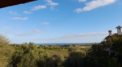 Villa a schiera 3 locali di 80 m² in Budoni (07051)