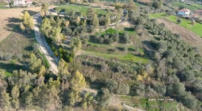 Terreno di 14.500 m² in Tortoreto (64018)