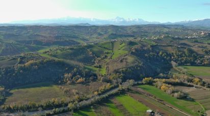 Land of 14,500 m² in Tortoreto (64018)