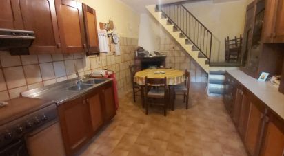 House 9 rooms of 150 m² in Nocera Terinese (88040)