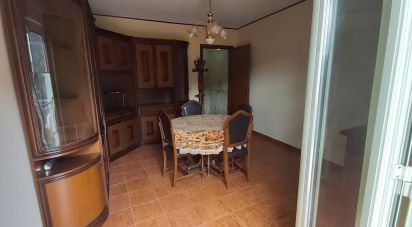 House 9 rooms of 150 m² in Nocera Terinese (88040)