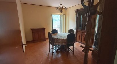 House 9 rooms of 150 m² in Nocera Terinese (88040)