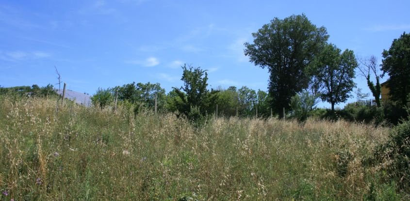 Agricultural land of 19,600 sq m in Monsampolo del Tronto (63077)