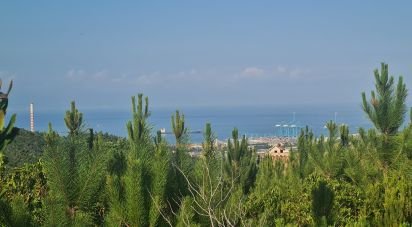 Terreno di 3.000 m² in Vado Ligure (17047)