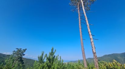 Terreno di 3.000 m² in Vado Ligure (17047)