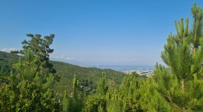 Terreno di 3.000 m² in Vado Ligure (17047)
